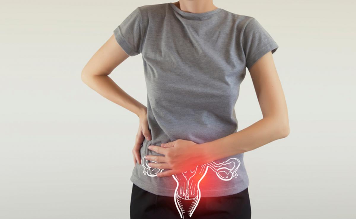 uterine